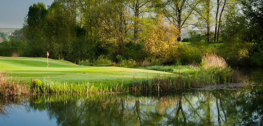 Golfclub Schloss Mainsondheim e.V.